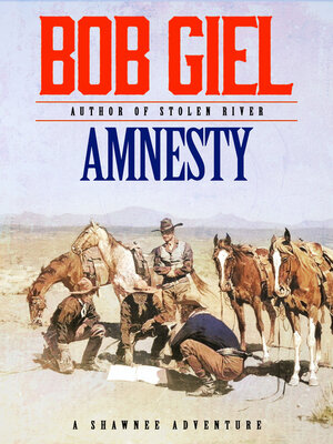 cover image of Amnesty